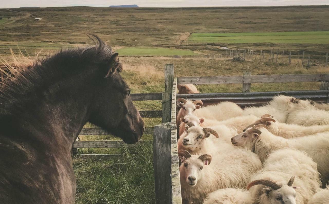 Sandur Þórshöfn Eksteriør bilde