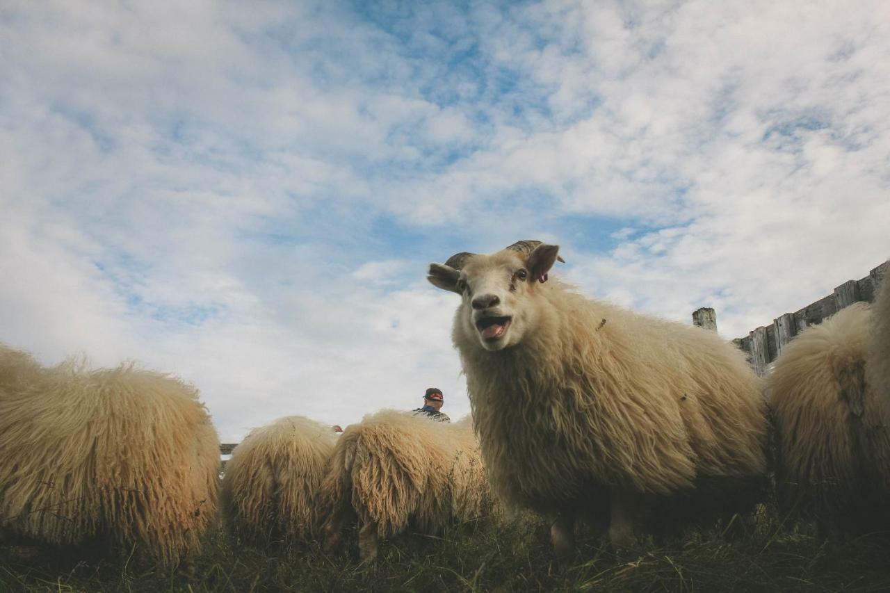 Sandur Þórshöfn Eksteriør bilde